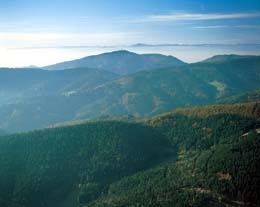 Hochblauen