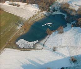 Nur selten lässt er sich sehen, der Eichener See bei Schopfheim.