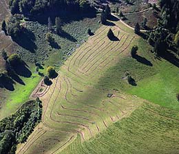 Landwirtschaftliche Kunst an den Hängen bei Fröhnd