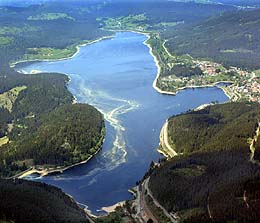 Blütenstaub auf dem Schluchsee